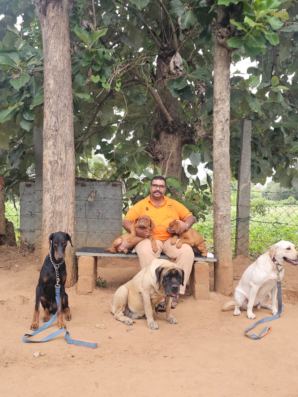 Children learning dog behaviour and safe interaction during the Canine Education Summer Session in Bangalore