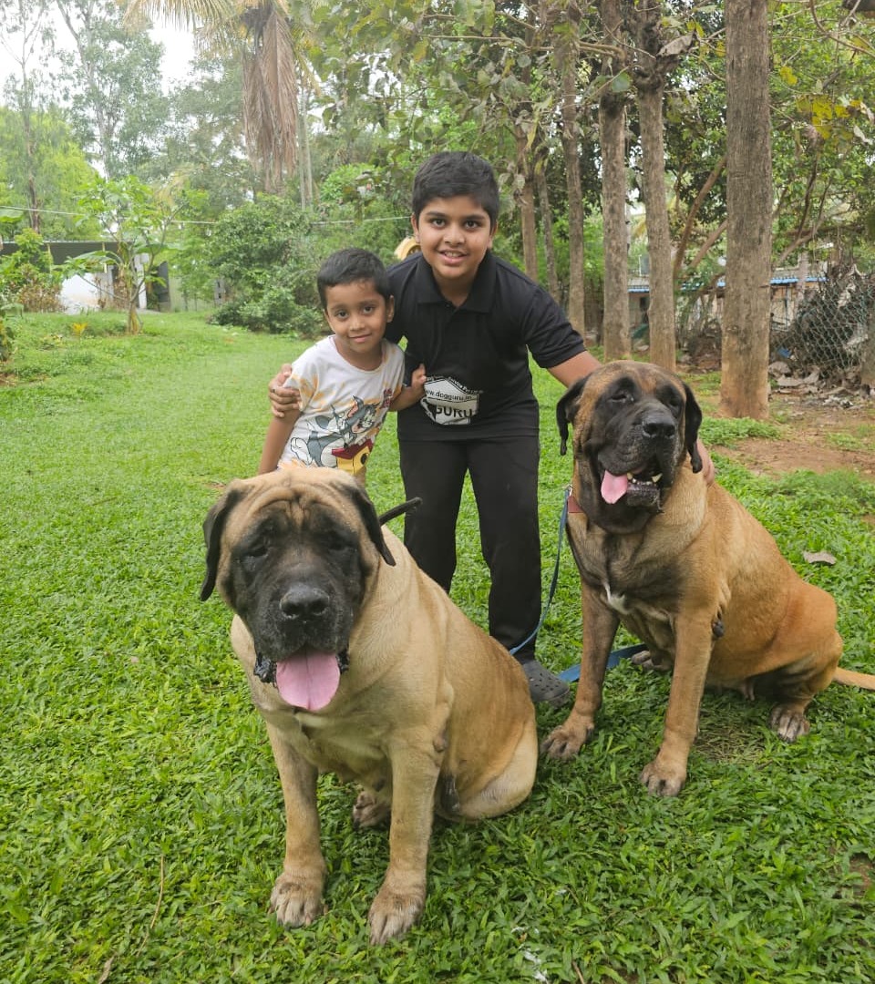 Children learning with dogs