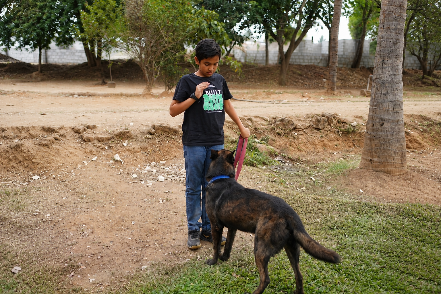 Children learning with dogs