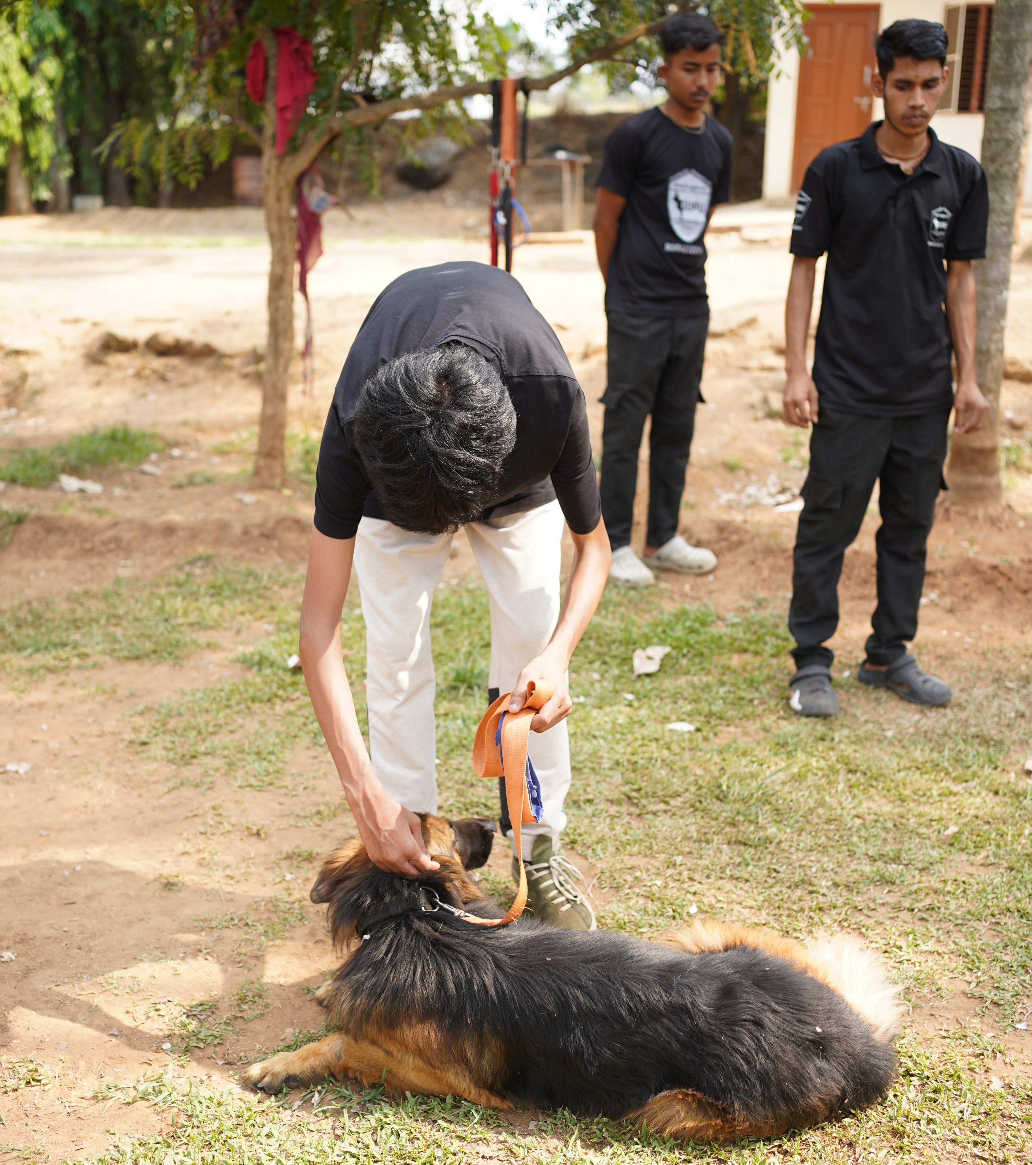 Children learning with dogs