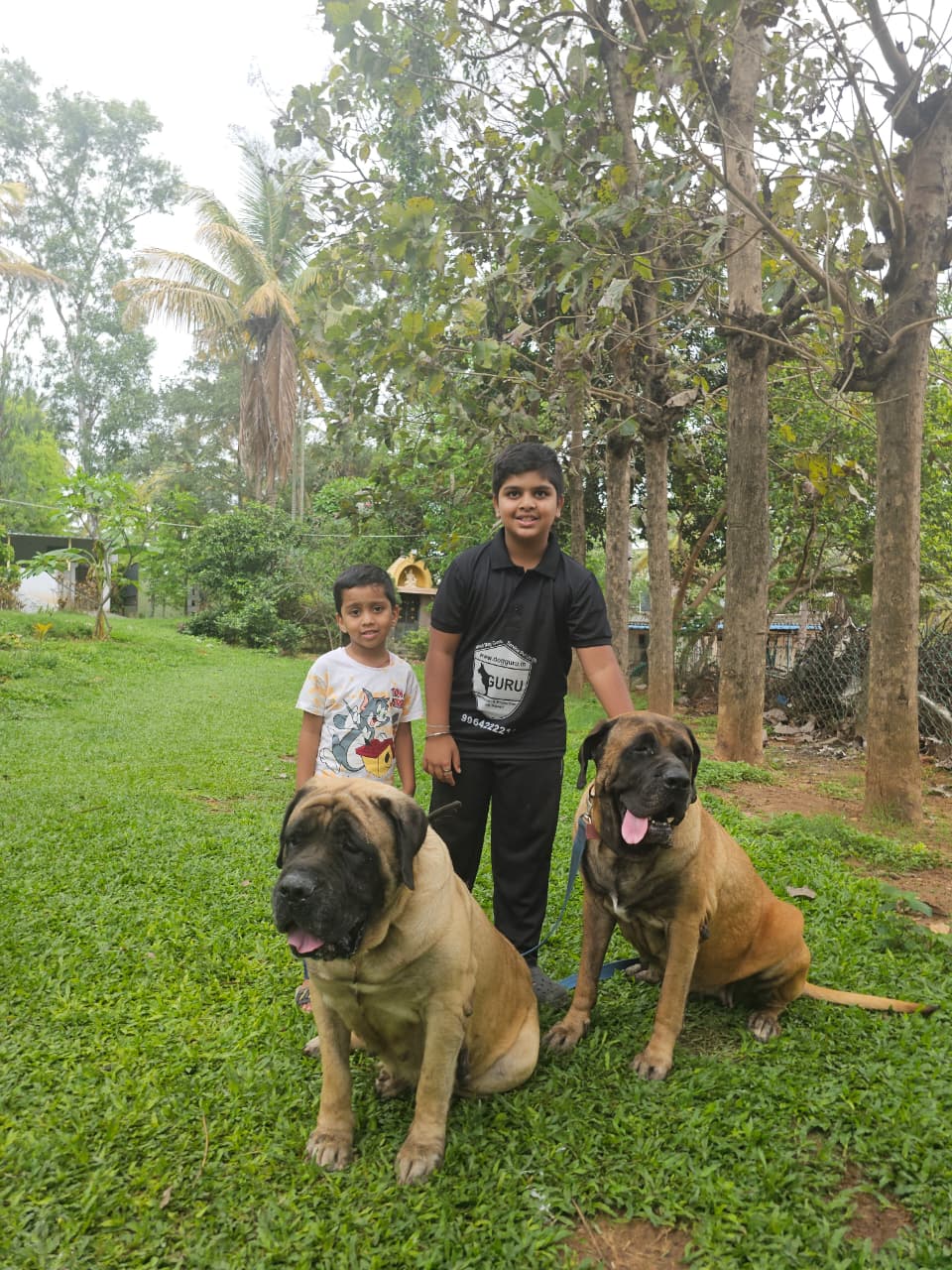Children with dogs